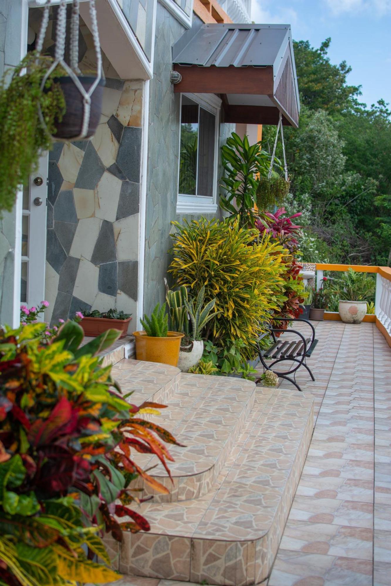 Mountain View Apartments Gros Islet Ngoại thất bức ảnh